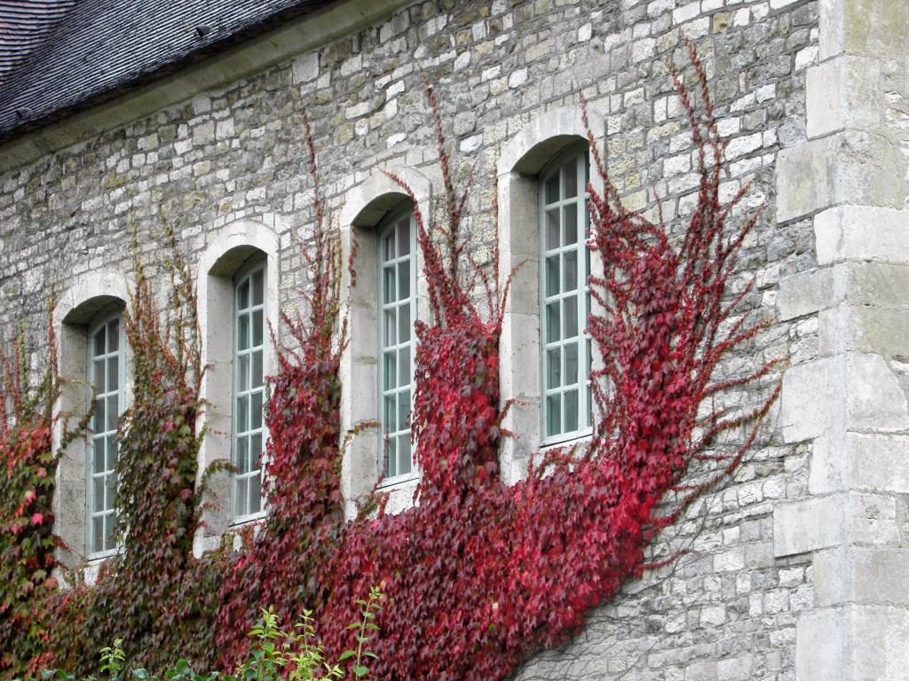 Fontenay - 2016